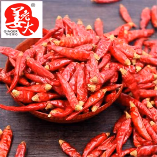 Sanying Chilli Chinês Seco Pimentão Vermelho Quente