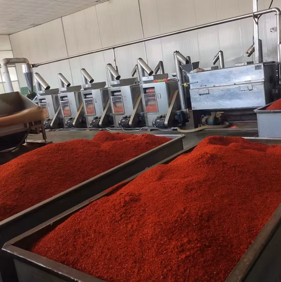 Pimenta vermelha seca picante quente em pó para atacado