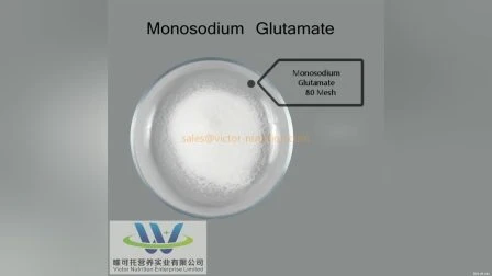 Msg de qualidade alimentar 99% (glutamato monossódico) Especiaria Msg salgada