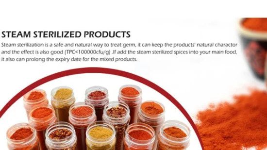 Distribuidor de alimentos de especiarias anis estrelado seco inteiro fabricado na China