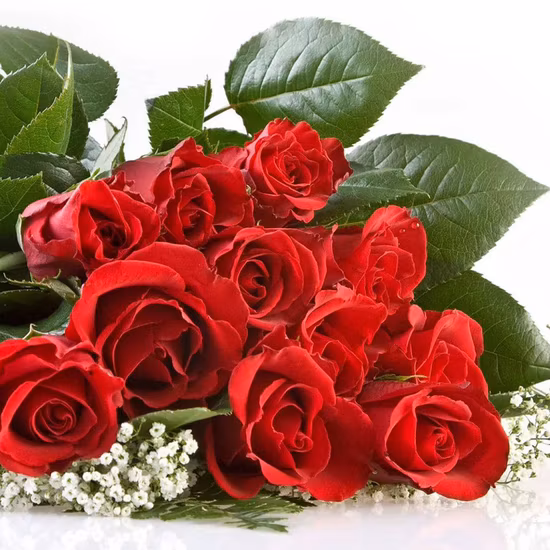 Presente de promoção de rosa fresca cortada flor decorativa Dia dos Namorados Monther Day 20PCS/Bundle