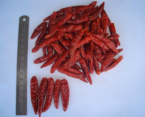 Pimentão Vermelho Pequim Seco Sem Haste 7