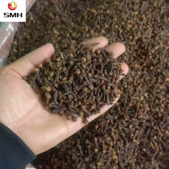 Cravo seco de ervas com especiarias de caule único